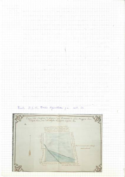 disegno_brughiera.jpg