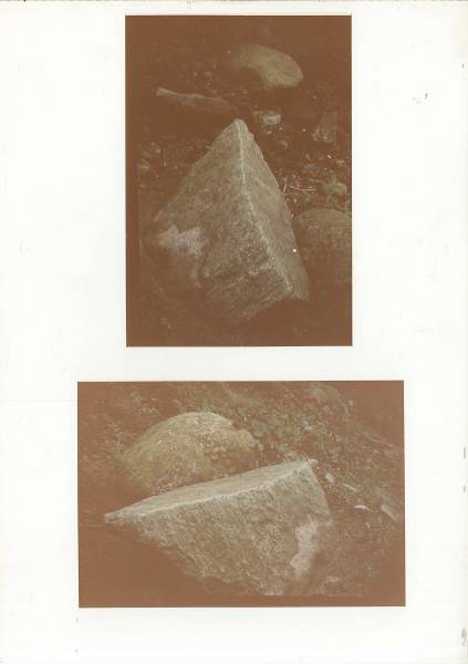 caronno_corb_7.jpg