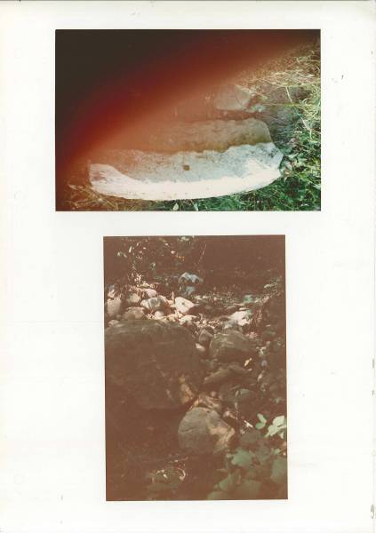 caronno_corb_8.jpg