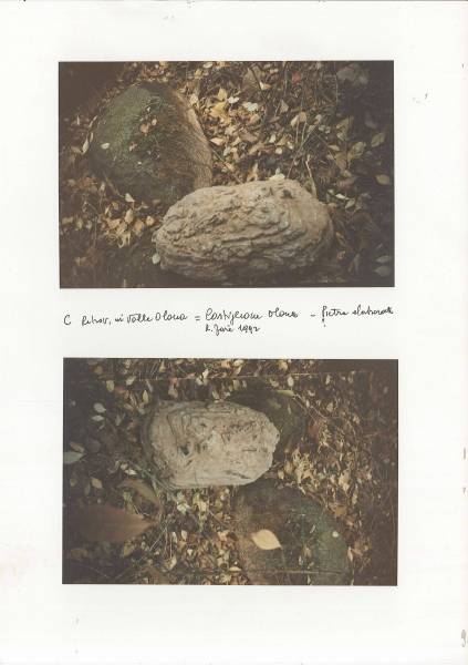 f_castiglione_1.jpg