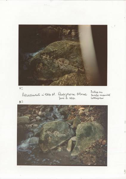 f_castiglione_2.jpg