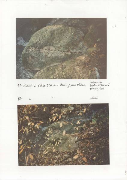 f_castiglione_3.jpg