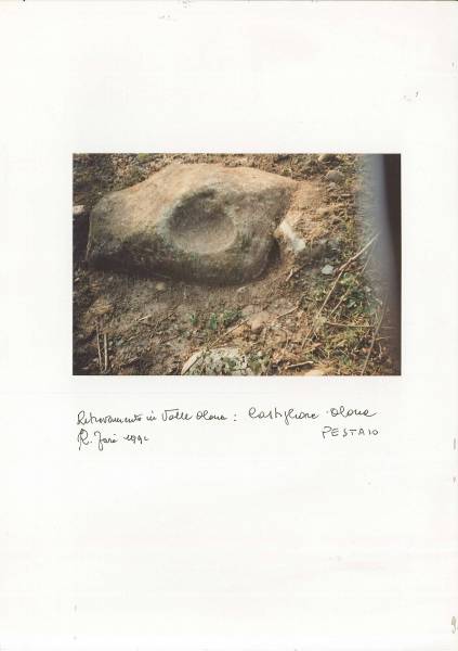 f_castiglione_5.jpg