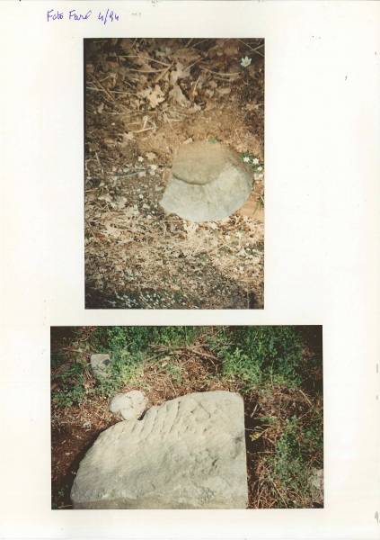 seprio_ritr._10.jpg