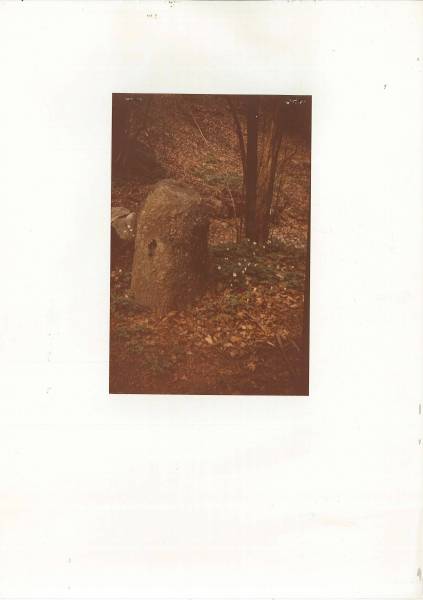 seprio_ritr._2.jpg