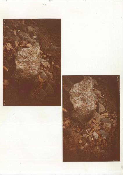 seprio_ritr._4.jpg