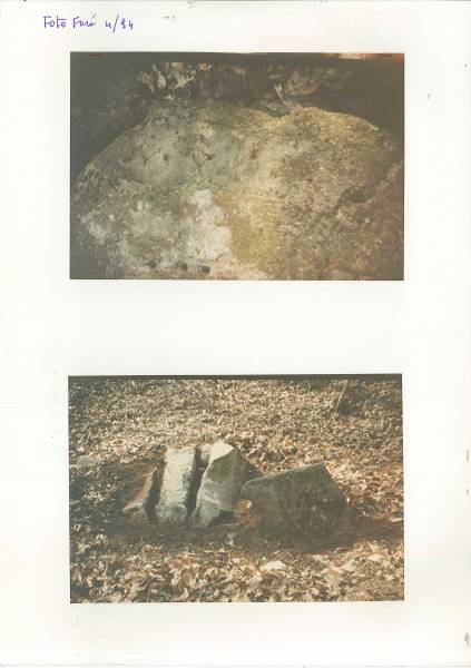 seprio_ritr._8.jpg