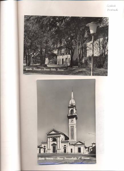 gorla_minore_4.jpg