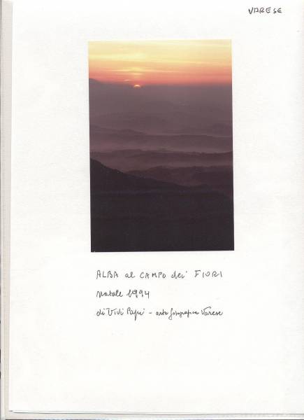 alba.jpg