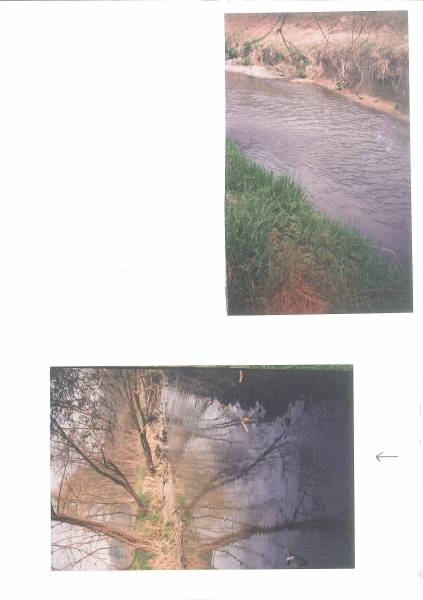 olona_1989_3.jpg